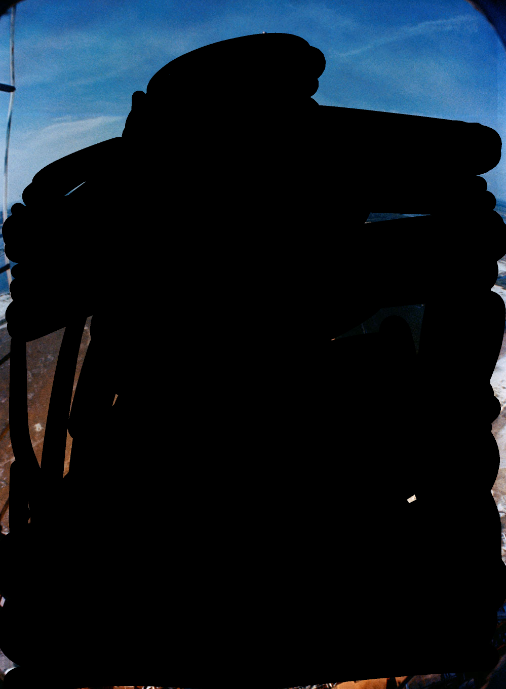 Black digital marks obscuring 95% of digital image. 