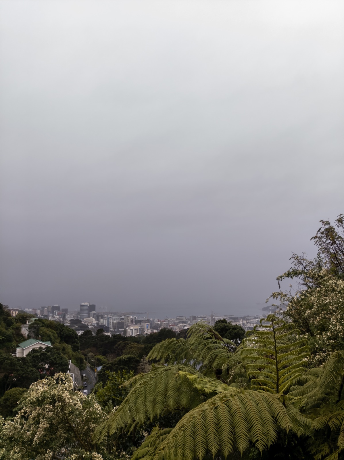 Photo - grey clouds over the city.