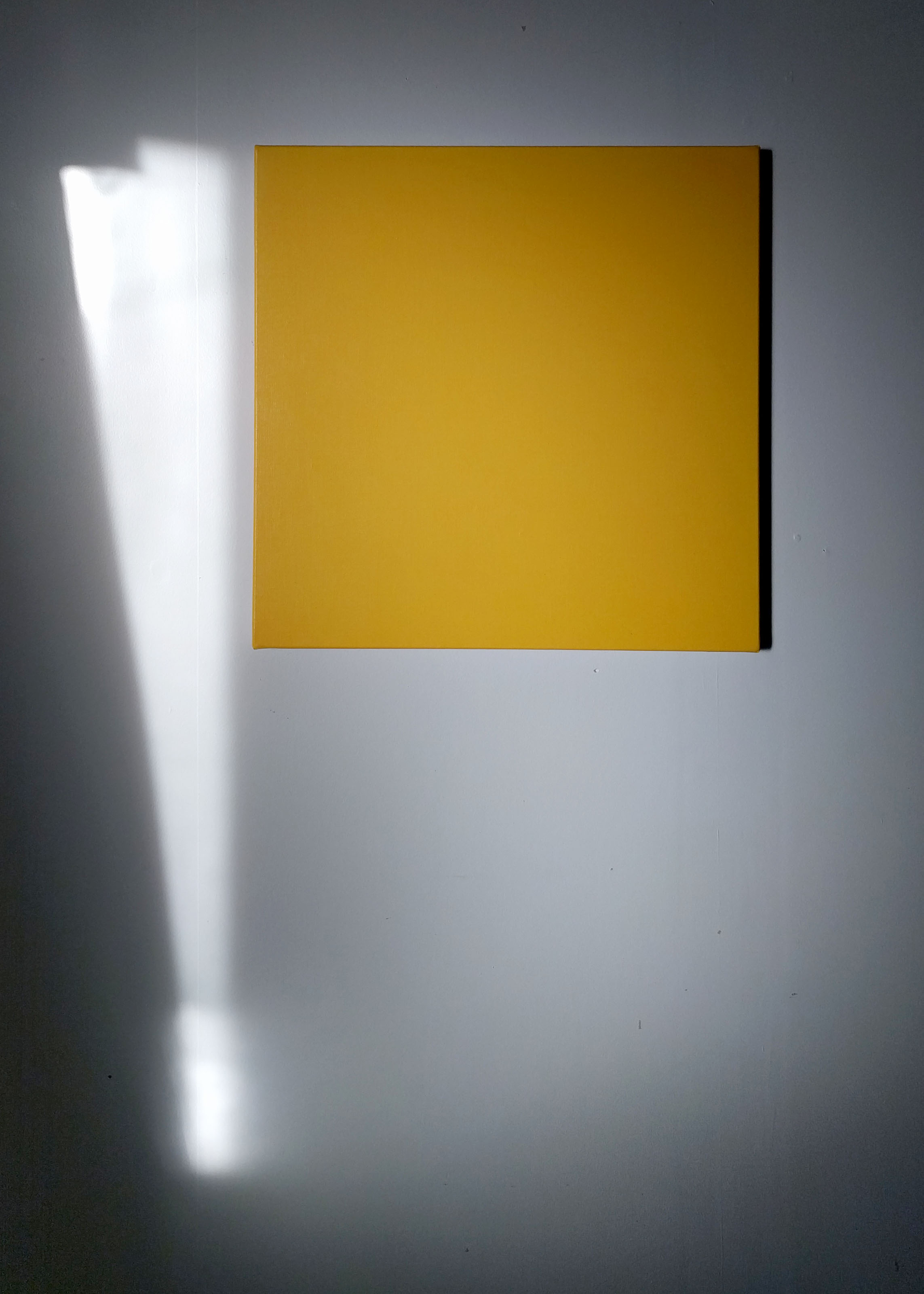 Black digital marks obscuring 95% of digital image. 